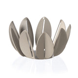 Ficus basket favour