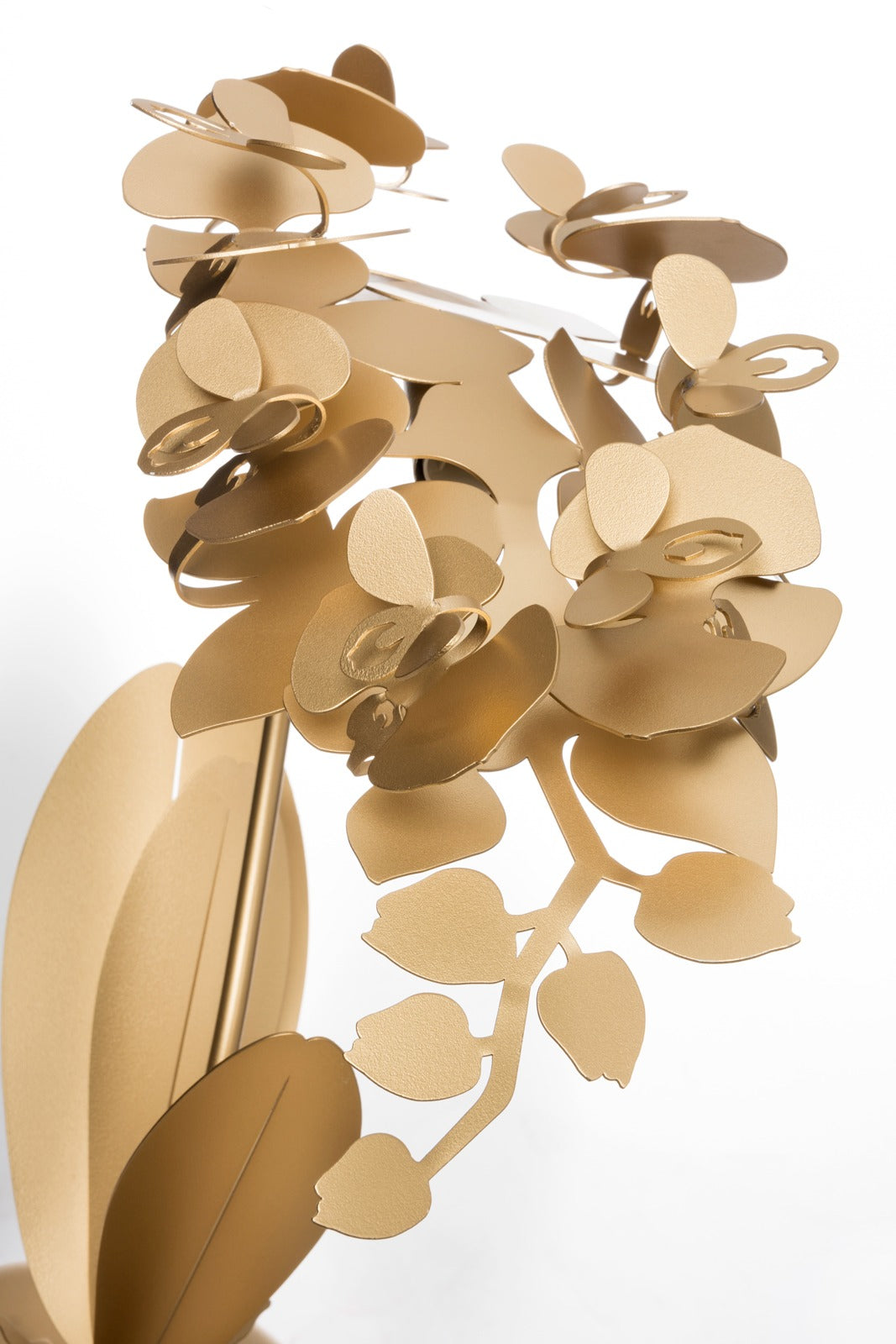 Lampada da tavolo Orchidea oro trasparente
