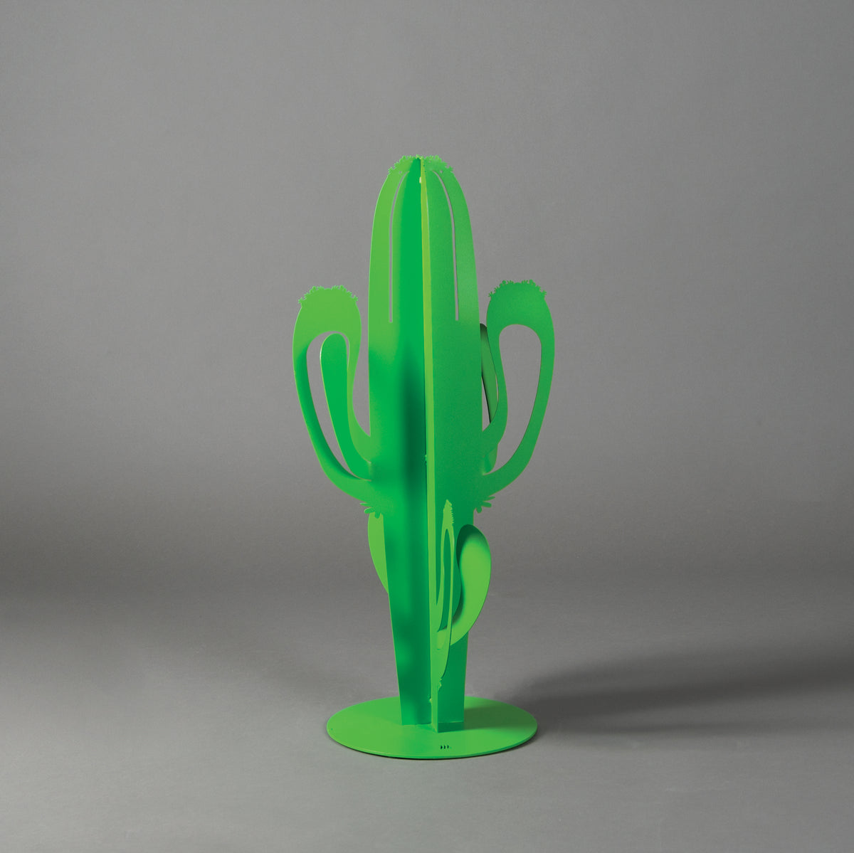 Pianta decorativa Cactus Saguaro Piccola