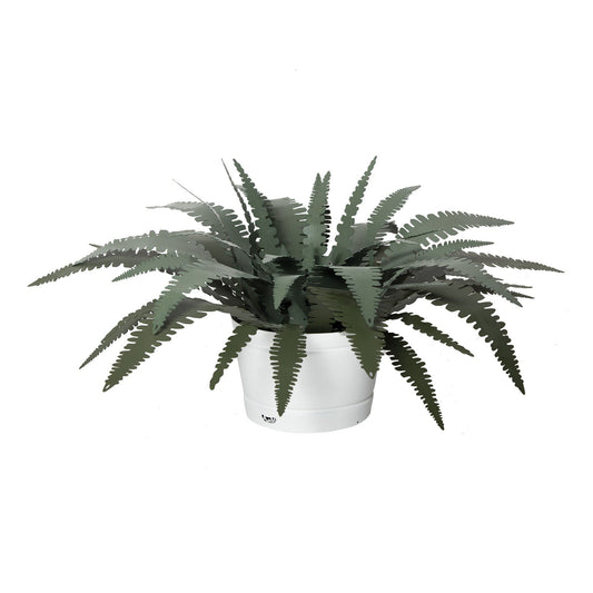 Large Fern decorative plant