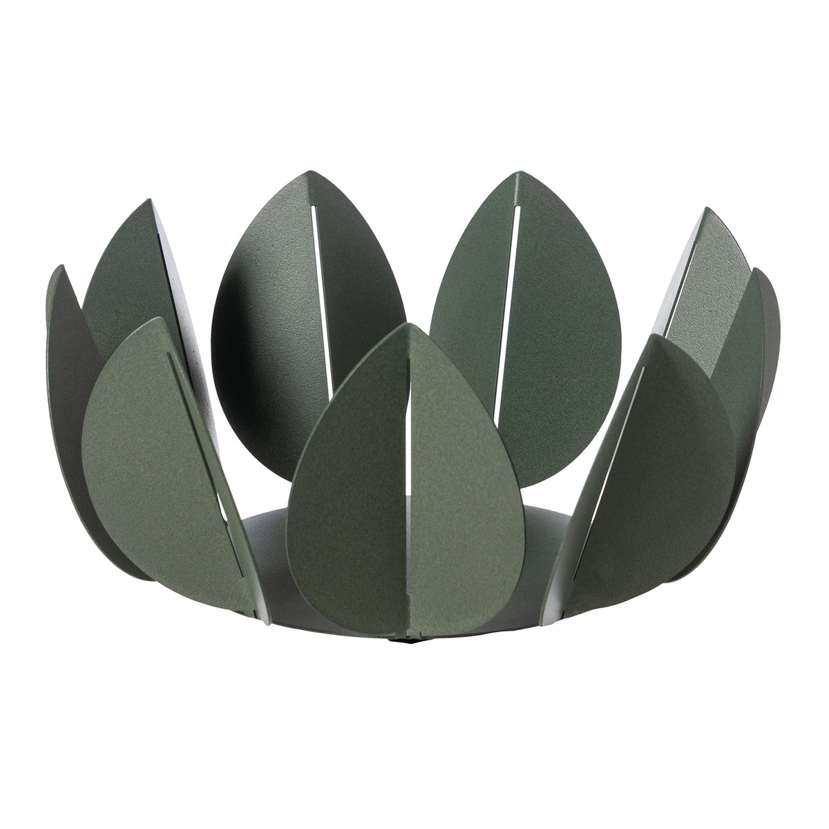 Coupe décorative Ficus