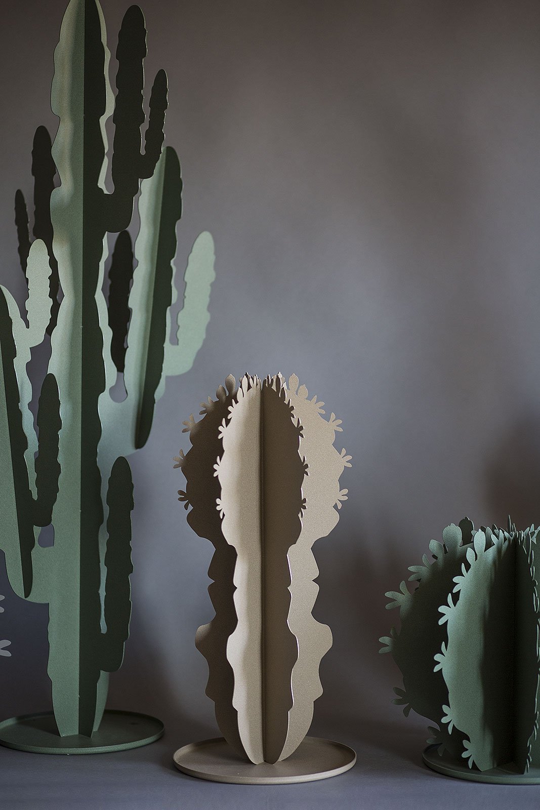 Pianta decorativa moderna Cactus grande