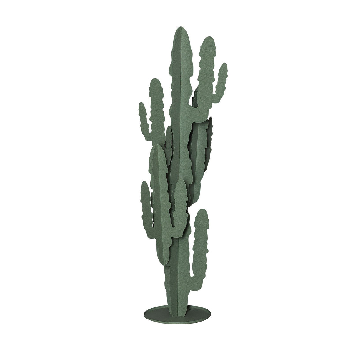 Pianta decorativa moderna Cactus grande