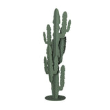 Pianta decorativa moderna Cactus grande